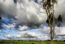 2024年巴黎夏季奥运会有哪些值得关注的亮点？